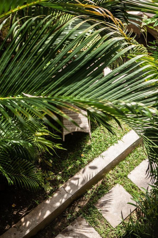 The Spare Room Bali Чангу Экстерьер фото
